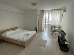 Near Center 1 Room Apartment